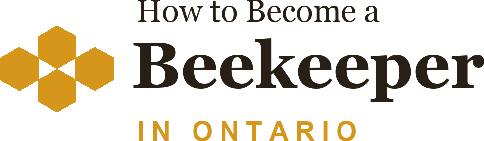 How to Become a Beekeeper in Ontario